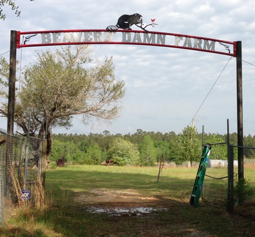 Farm Entry Sign